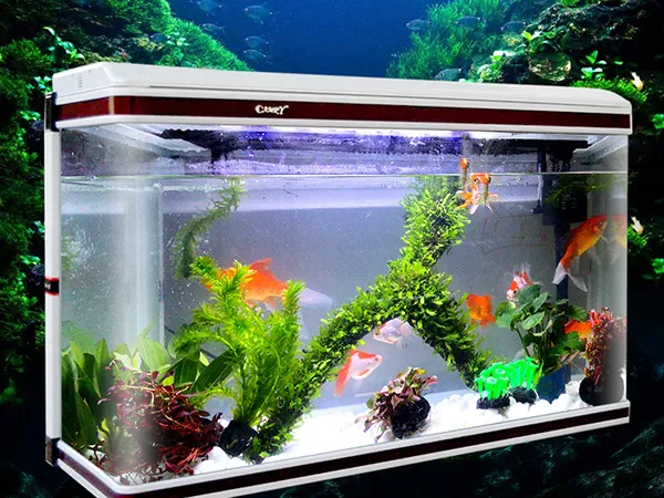 Glass Aquarium